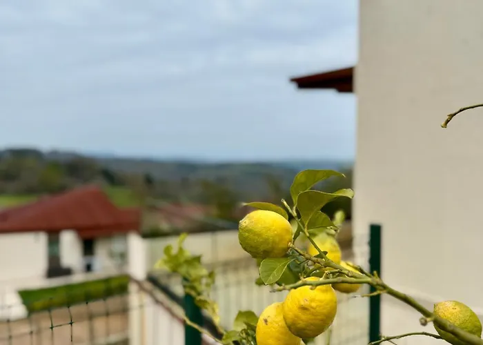 Appartement El Rincon Entre Montana Y Mar